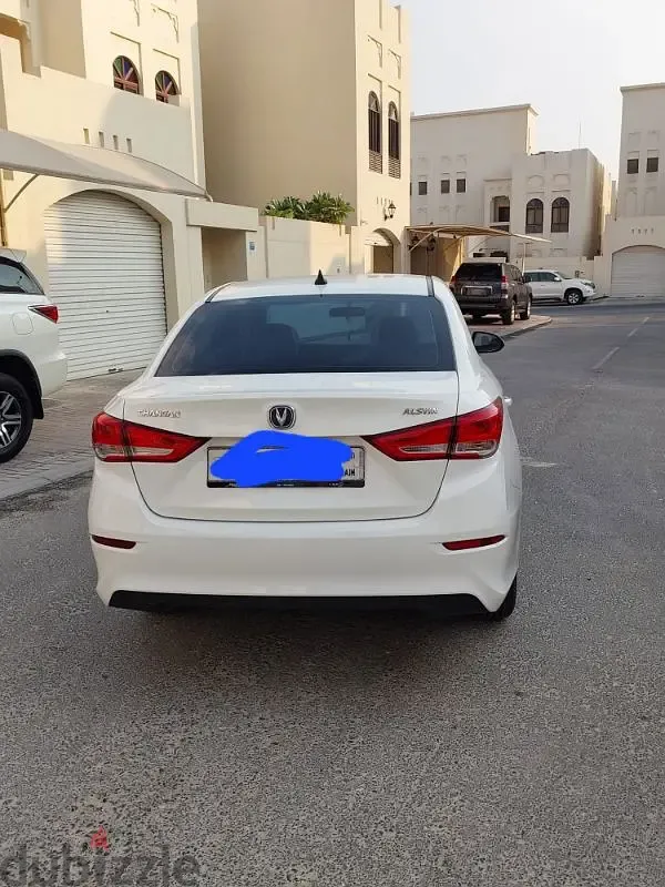 شانجان السفين 2024